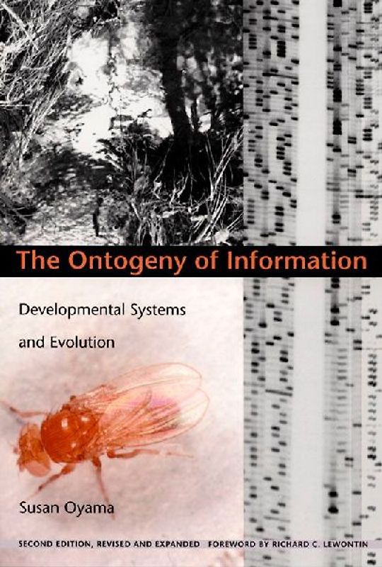The Ontogeny of Information
