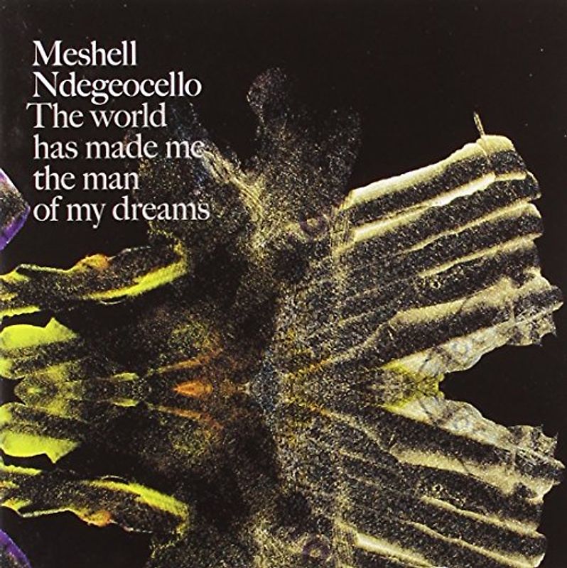 Meshell Ndegeocello - The World Has Made Me the Man of My Dreams