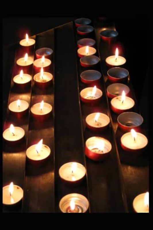 The Turtles of Tasman Illustrated