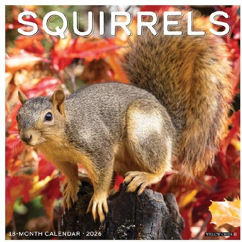 Squirrels 2026 12 X 12 Wall Calendar