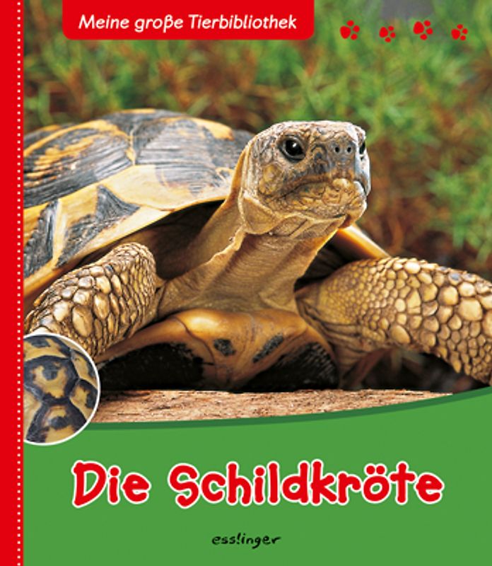 Meine große Tierbibliothek: Die Schildkröte