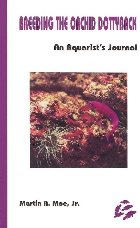 Breeding the Orchid Dottyback, Pseudochromis Fridmani