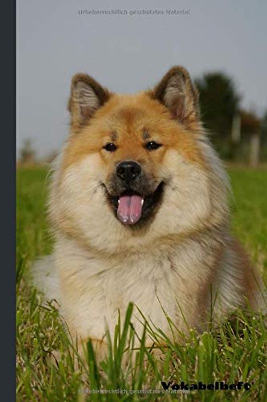 Vokabelheft: Vokabeln lernen mit System - 2 Spalten inkl. Kontrollkästchen | universal für alle Sprachen | 100 Seiten - A5 | Motiv: Hund