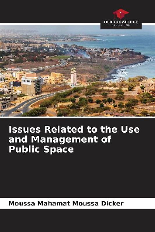 Issues Related to the Use and Management of Public Space