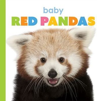 Baby Red Pandas