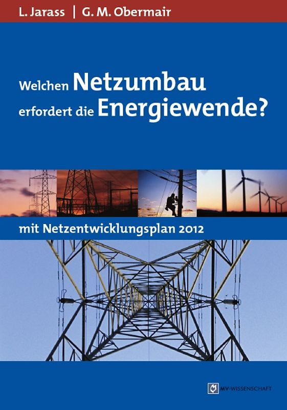 Welchen Netzumbau erfordert die Energiewende?