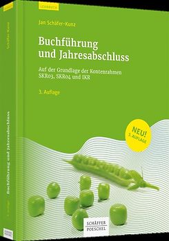 Buchführung und Jahresabschluss