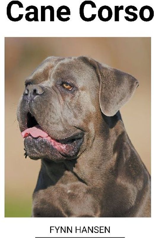 Cane Corso