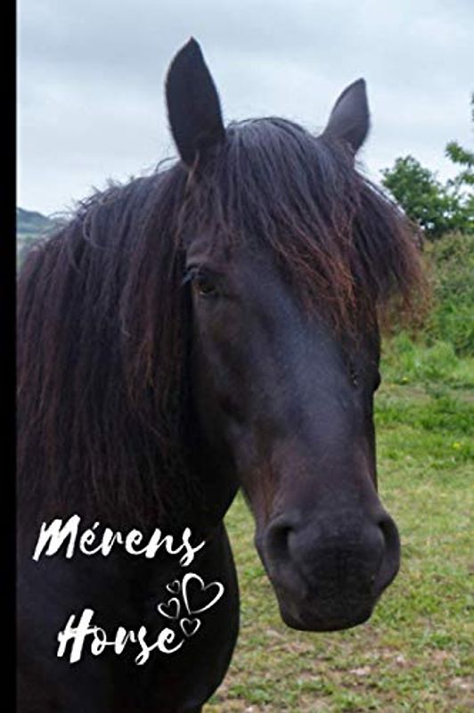 Mérens Horse Notebook For Horse Lovers: Composition Notebook 6x9" Blank Lined Journal