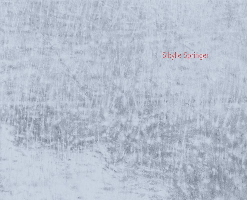 Sibylle Springer - Hidden