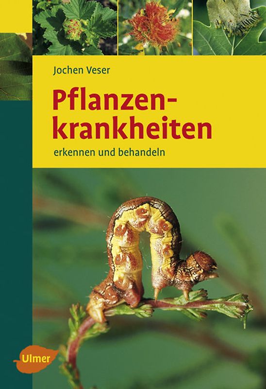 Pflanzenkrankheiten