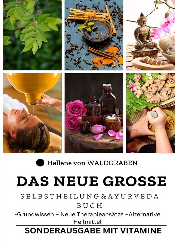 Das neue große Selbstheilung und Ayurveda Buch : Grundwissen – Neue Therapieansätze –Alternative Heilmittel