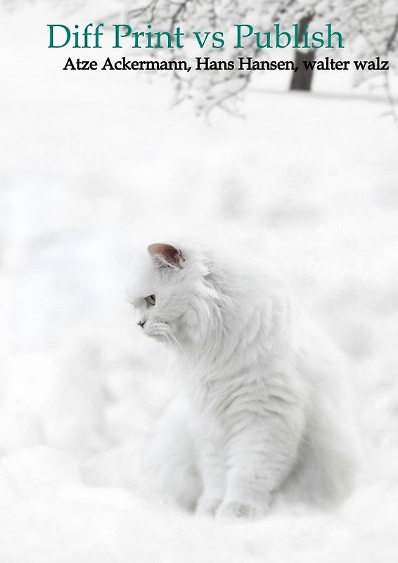 Diff Print vs Publish