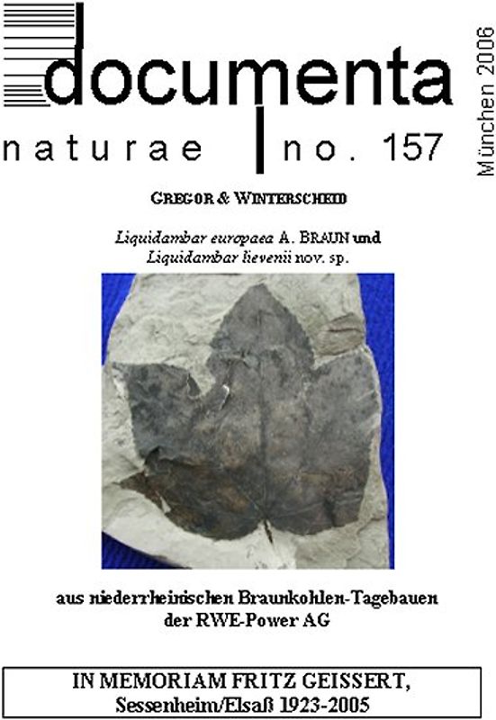 Liquidambar aus niederrheinischen Braunkohlen