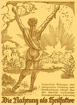 Die Nahrung als Heilfaktor