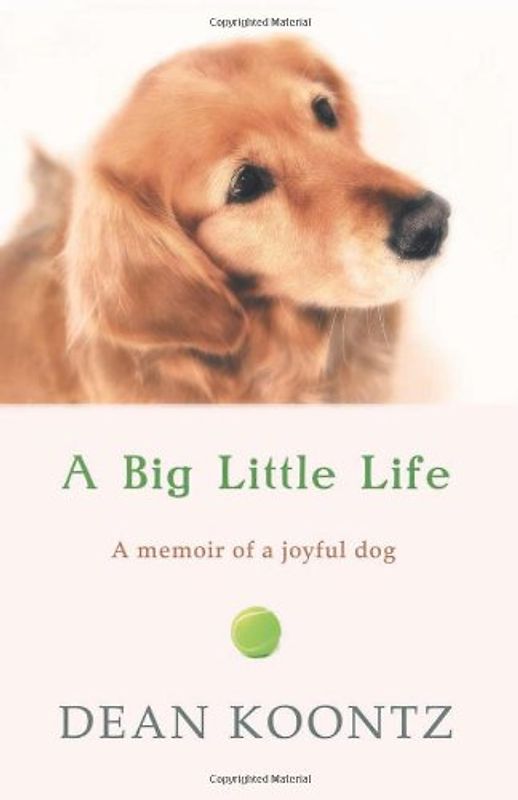 Big Little Life - Koontz, Dean