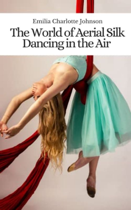 The World of Aerial Silk: Dancing in the Air
