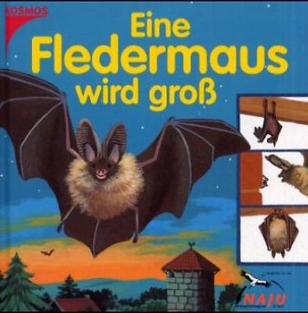 Eine Fledermaus wird gross