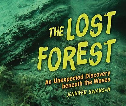 The Lost Forest