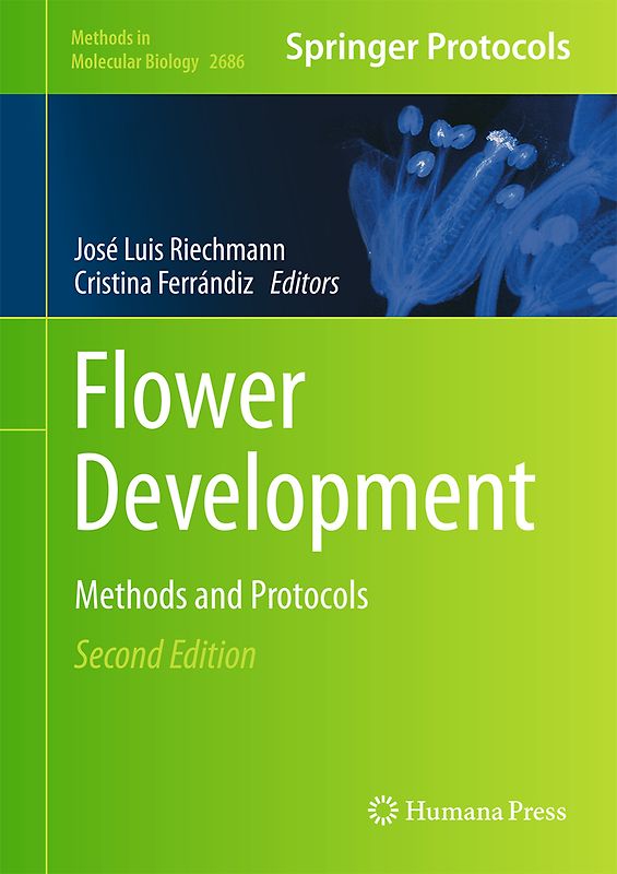 Flower Development