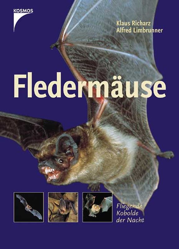 Fledermäuse