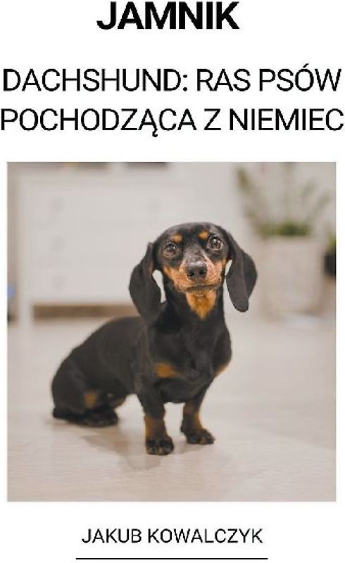 Jamnik (Dachshund