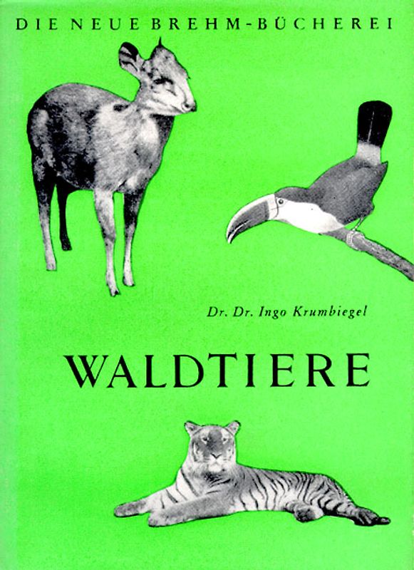Waldtiere