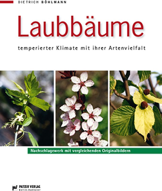 Laubbäume