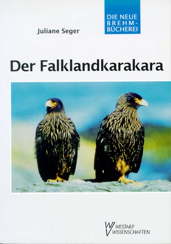 Der Falklandkarakara