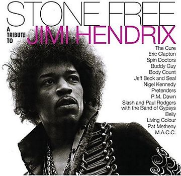 Various - A Tribute to Jimi Hendrix