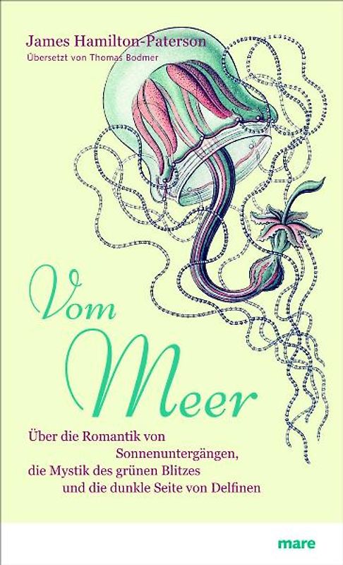 Vom Meer. Über die Romantik von Sonnenuntergängen, die Mystik des grünen Blitzes und die dunkle Seite von Delfinen