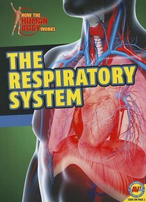 The Respiratory System