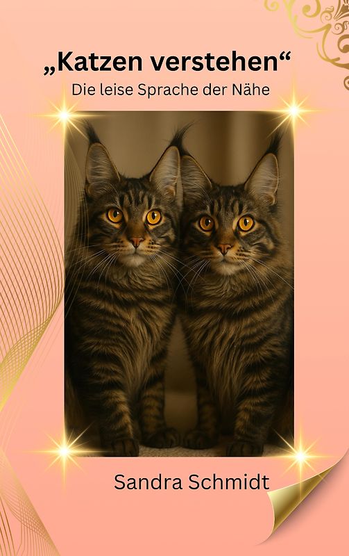 Katzen verstehen