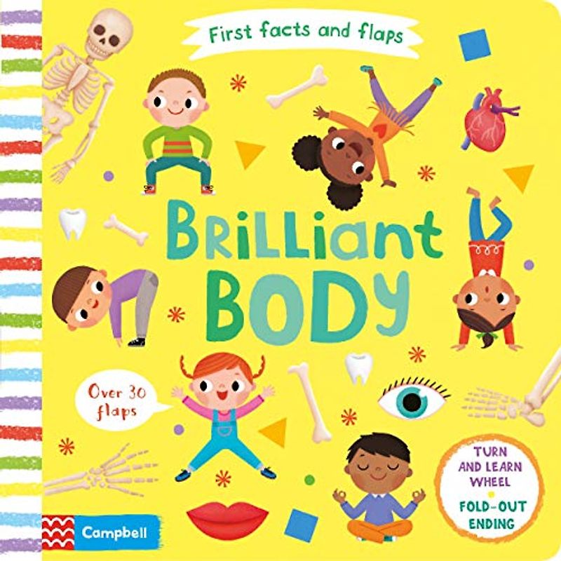 Brilliant Body (First Facts and Flaps, 4, Band 4)