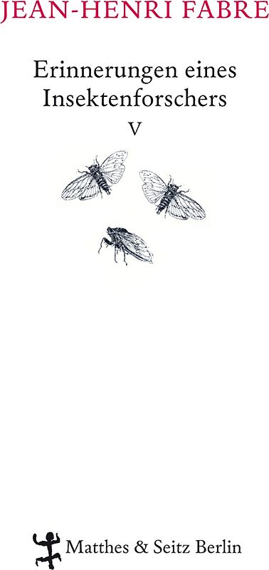 Erinnerungen eines Insektenforschers V