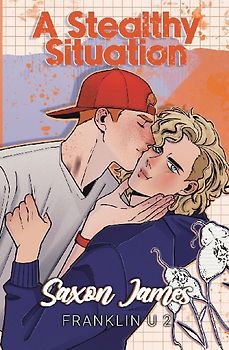 A Stealthy Situation