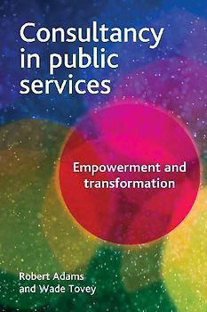 Consultancy in public services