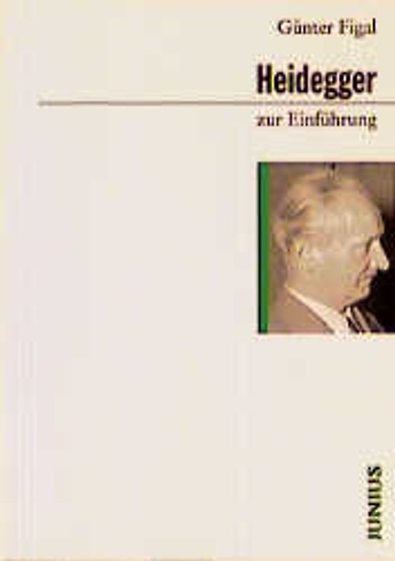 Heidegger zur Einführung