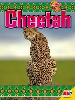 Cheetah