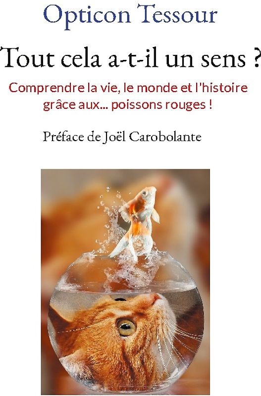 Tout cela a-t-il un sens ?