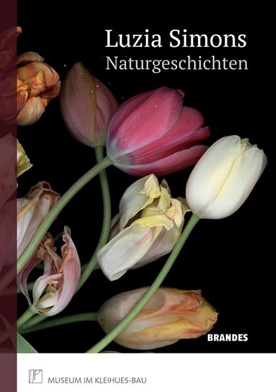 Luzia Simons | Naturgeschichten