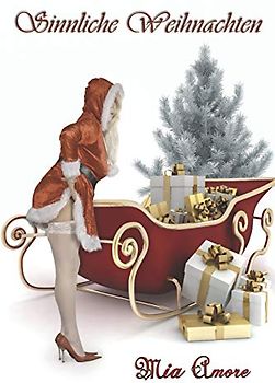 Sinnliche Weihnachten: So erotisch war Weihnachten noch nie!