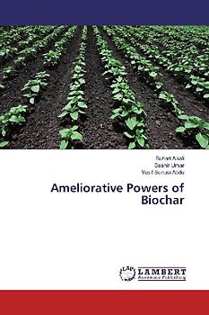 Ameliorative Powers of Biochar