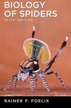 Biology of Spiders - Rainer F. Foelix