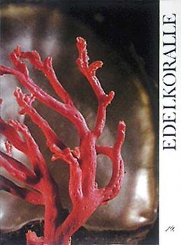 Edelkoralle