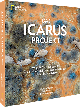 Das ICARUS Projekt