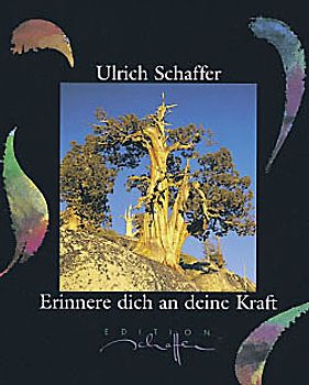Erinnere dich an deine Kraft