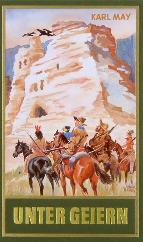 Unter Geiern (Taschenbuch)
