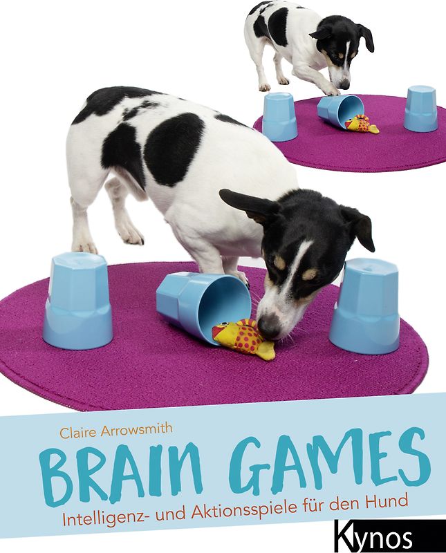 Brain Games