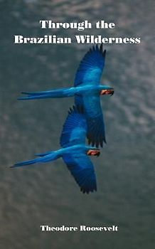 Through the Brazilian Wilderness